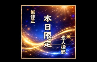 item.video_no
